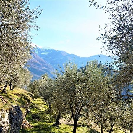 Chalet Laghel Арко Екстер'єр фото